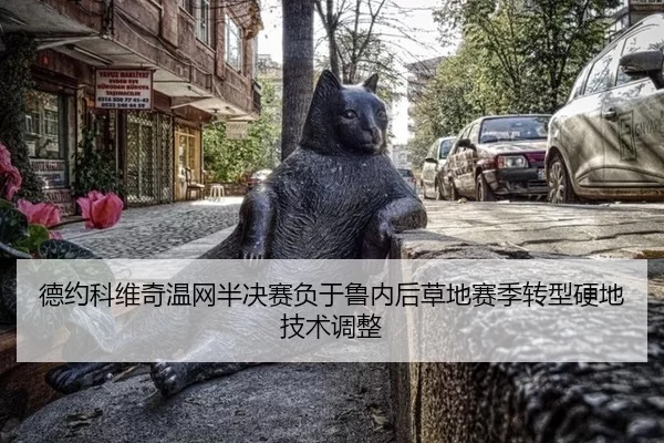 de-yue-ke-wei-qi-wen-wang-ban-jue-sai-fu-yu-lu-nei-hou-cao-di-sai-ji-zhuan-xing-ying-di-ji-shu-tiao-zheng-1-255.jpg